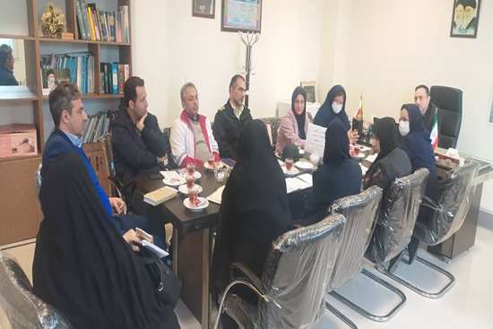 کمیته خودکشی 